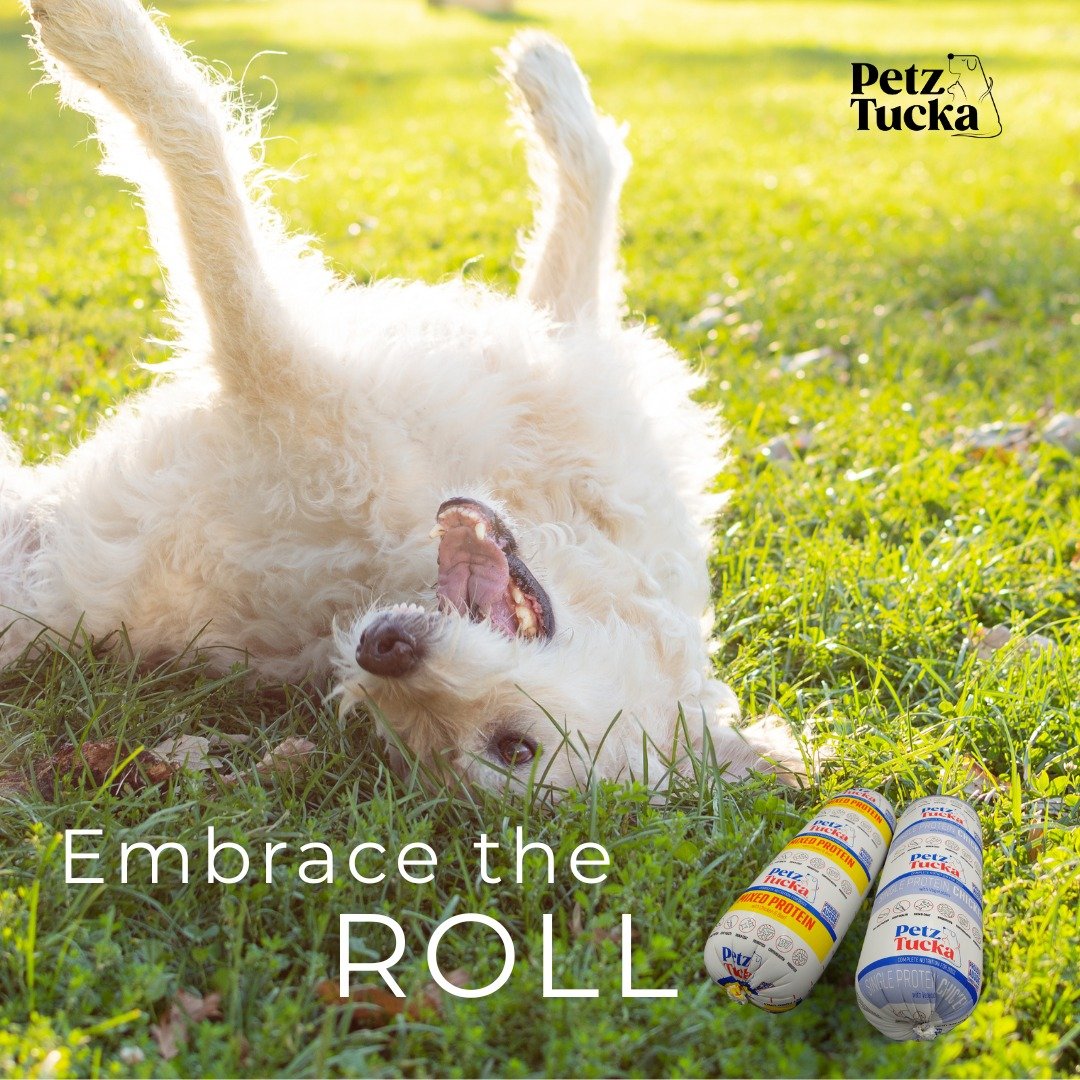 petztucka embrace the roll dog roll square image