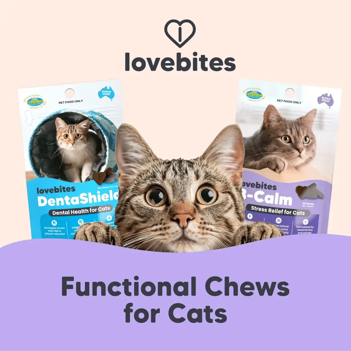 Functional Chews