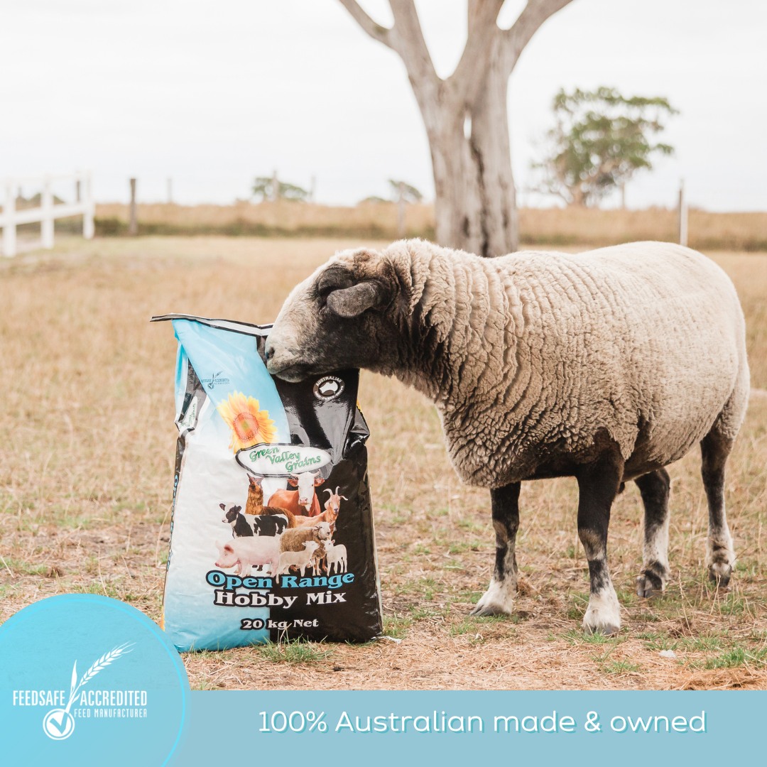 GreenValleyGrains