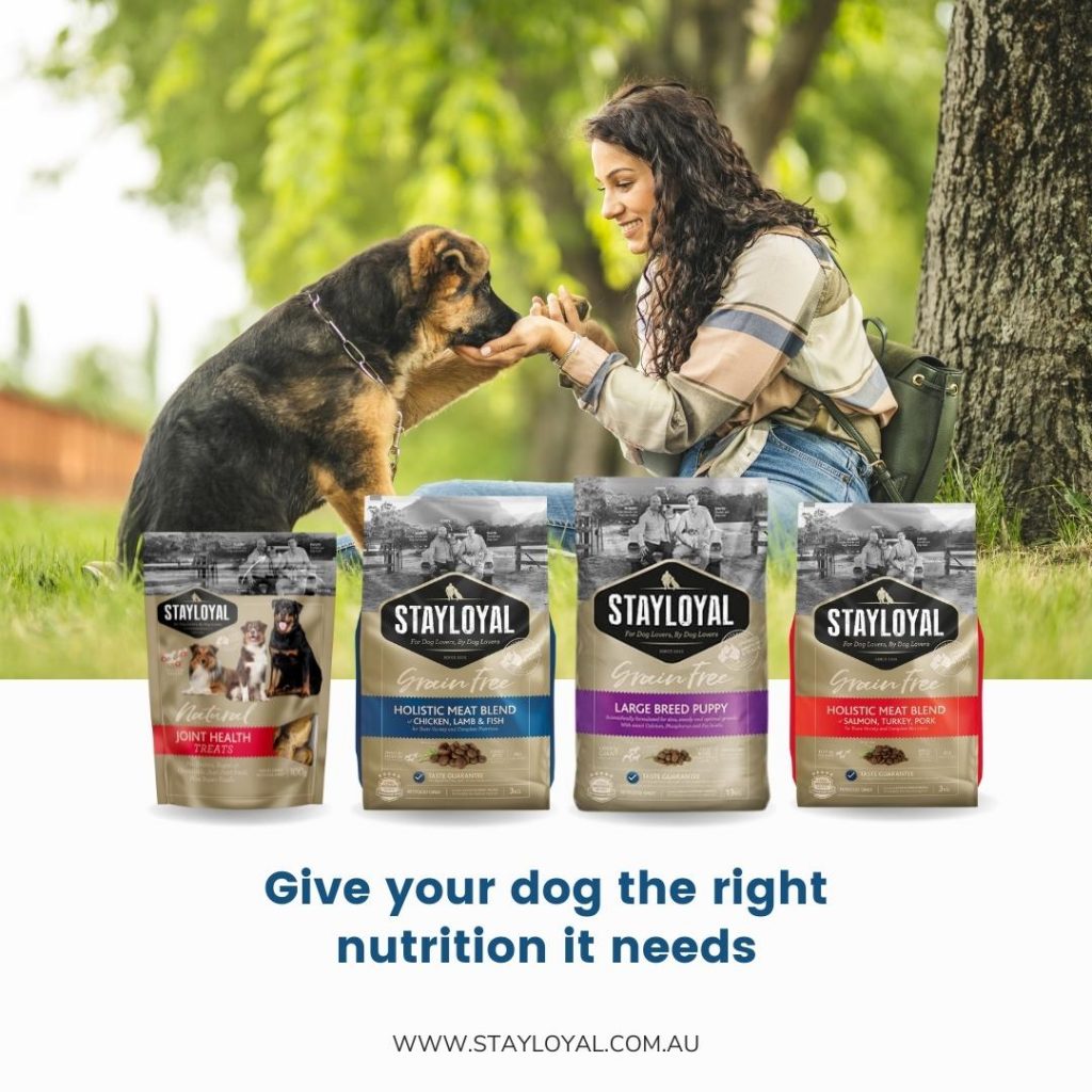 stayloyalproducts dog food and treat